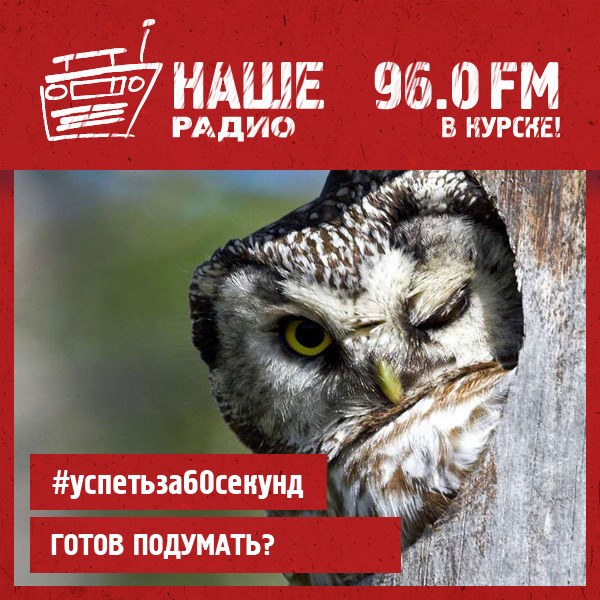 #дневнойдозор / #успетьза60секунд 5-я игра сезона 110417