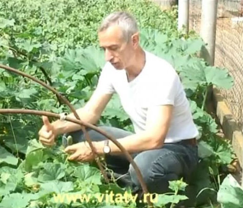 Вот это геморрой... Ни самому посмотреть, ни другим показать! (10)